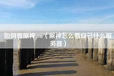 在能源与经济议题之外还提出“根据七国集团广岛峰会