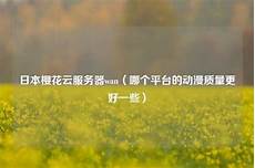 日本的服务器ip地址多少?IP是互联网协议(Internet Protocol)
