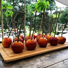 apex英雄换日本服务器,apex手游国际服无法登录怎么办 apex手