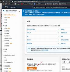 aws 日本服务器免费吗