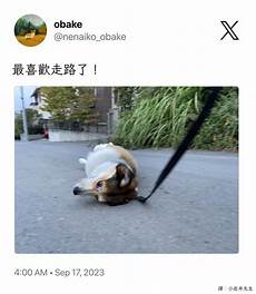 推特怎么连接日本服务器